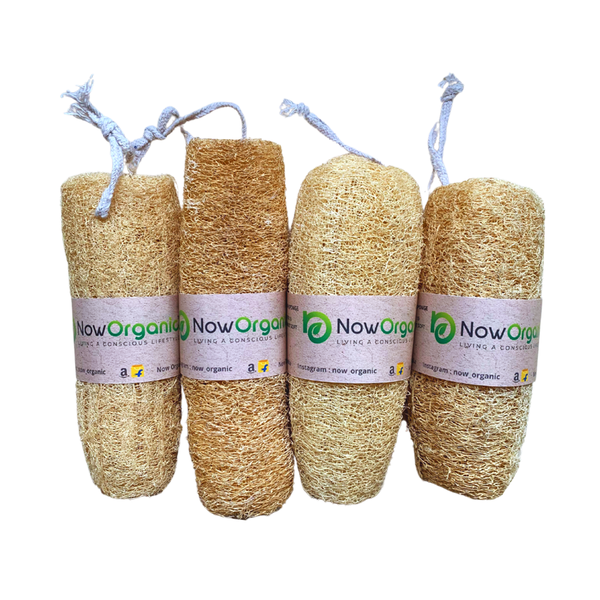 Loofah Natural Kitchen Sponges - 3 Pack - Eco Girl Shop